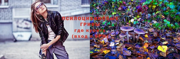 герыч Алексин