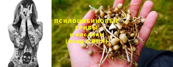 амфетамин Алексеевка